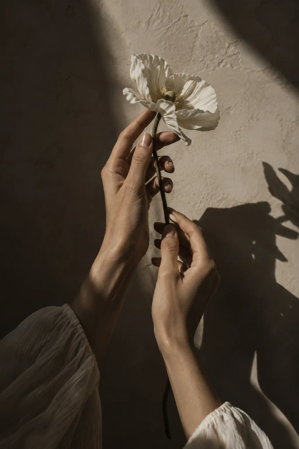 Composición artística de manos con una flor blanca y sombras escultóricas